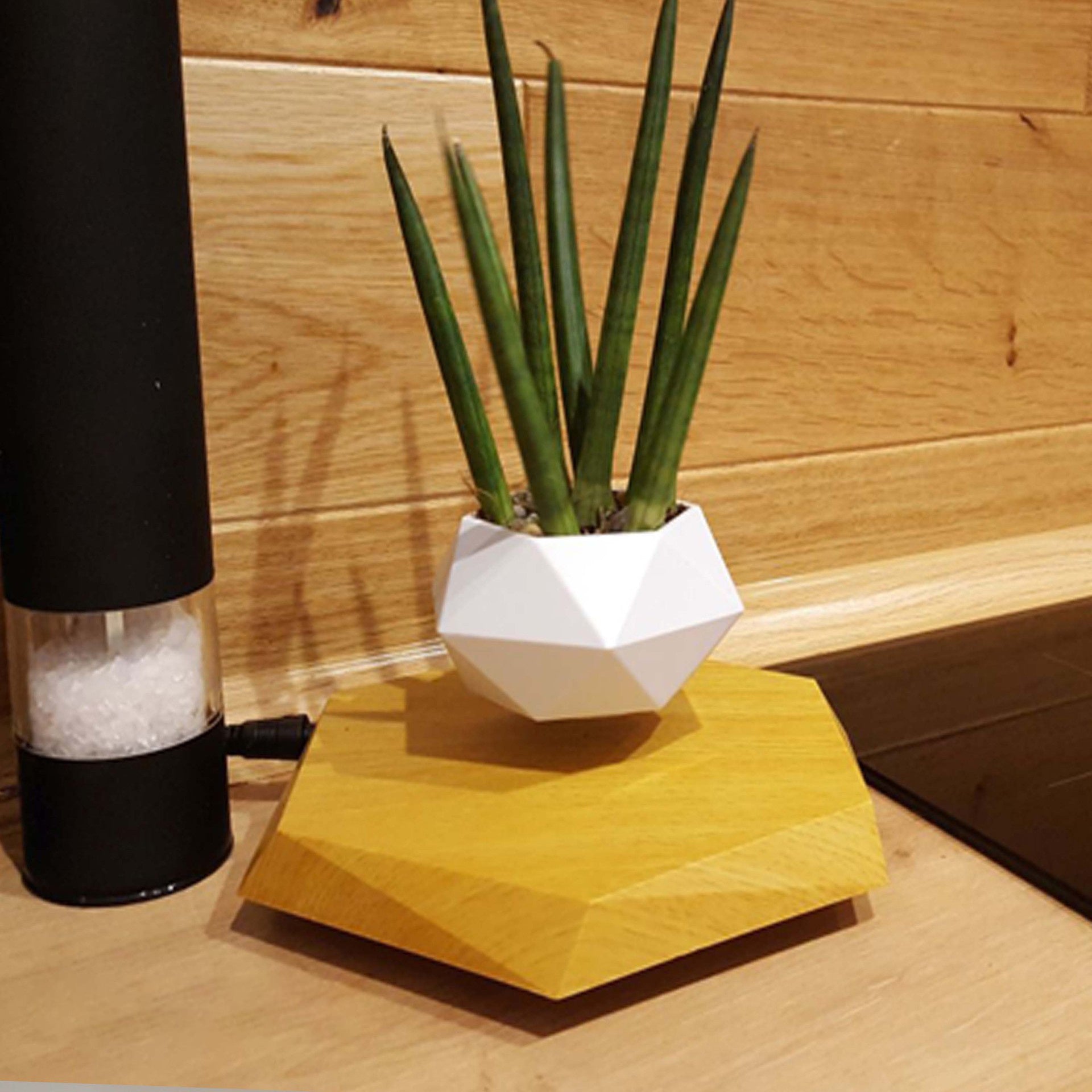 Floating Magnetic Levitating Flower Pot For Home Office Desk Decor Creative Gift