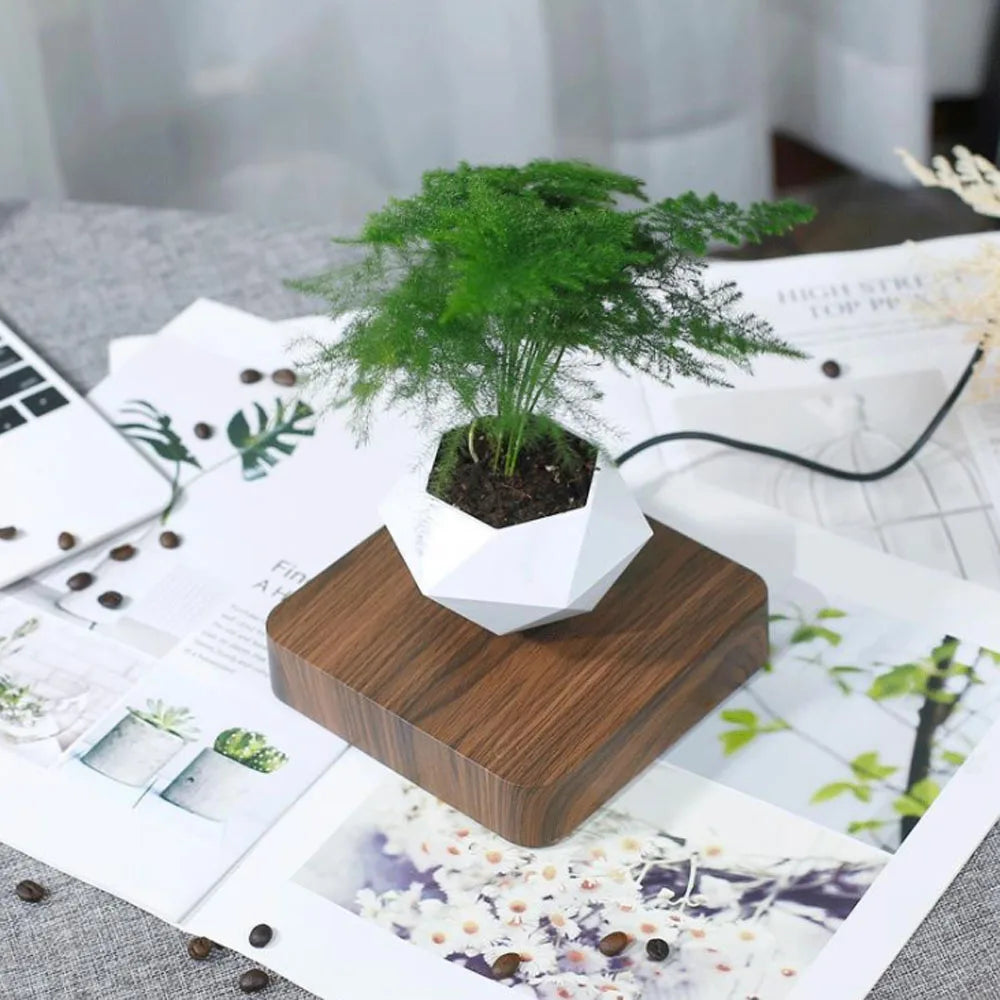 Levitating Air Bonsai Pot Rotation Flower Pot