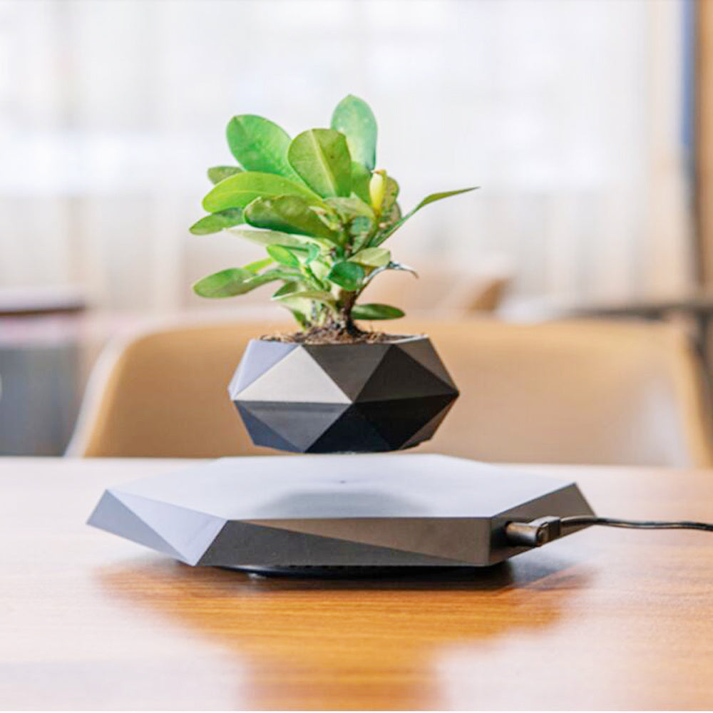 Floating Magnetic Levitating Flower Pot For Home Office Desk Decor Creative Gift
